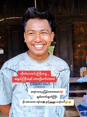 A post by @phoetharlay626 on TikTok caption: @ဝက်ကလေး 