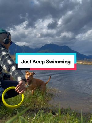 A post by @nashandkash on TikTok caption: Just keep on swimming #nashandkash 