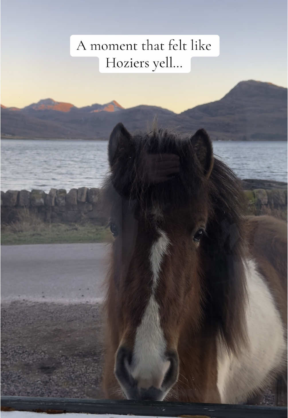 A post by @scotland_uncovered on TikTok caption: Torridon House Estate is easily one of the best accommodations on Scotlands NC500 🐴 🏴󠁧󠁢󠁳󠁣󠁴󠁿@Dirty_highlander 