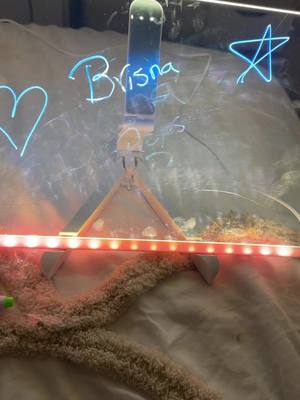 A post by @reyesbrisna on TikTok
