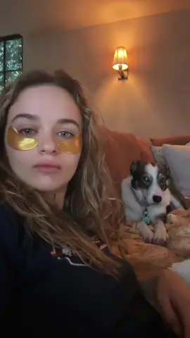 A post by @joeyking on TikTok caption: 🫡 they may be cringe but they’re our founding fathers