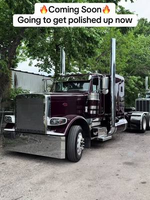 A post by @dsesales on TikTok caption: 2016 Peterbilt 389 will be coming soon! #peterbilt #peterbilt389 #truck #houston 