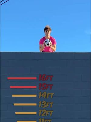 A post by @topperguild on TikTok caption: Which Ball Will Bounce The Highest?