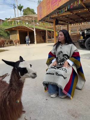 A post by @dorisjocelyn on TikTok caption: Parece lana🦙✨