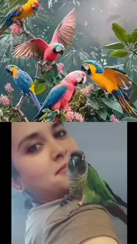 A post by @1313_jatti_dhaliwal on TikTok