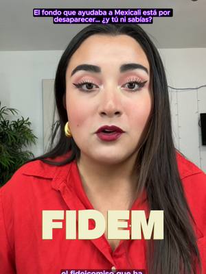 A post by @crealanoticia on TikTok caption: El fondo que ayudaba a Mexicali está por desaparecer… ¿y tú ni sabías?🤔💸 ¿Qué es el FIDEM y por qué el gobierno quiere desaparecerlo?  En Baja California, los empresarios pagan el impuesto sobre nómina más alto del país. El FIDEM era el único mecanismo para que ese dinero se usara en obras reales en Mexicali. Pero ahora, quieren centralizar todo el recurso… sin garantizar que regrese a tu comunidad. ¿Quién decide en qué se gasta tu dinero?💸