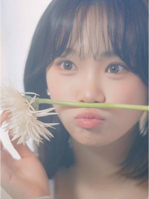A post by @le_sserafim on TikTok caption: [#The_3rd_FIMILY_Party]  Blooming Hearts: 피어나는 사랑 Visual Clip  #LE_SSERAFIM #르세라핌  #KIMCHAEWON #김채원 #LE_SSERAFIM3rdAnniversary 