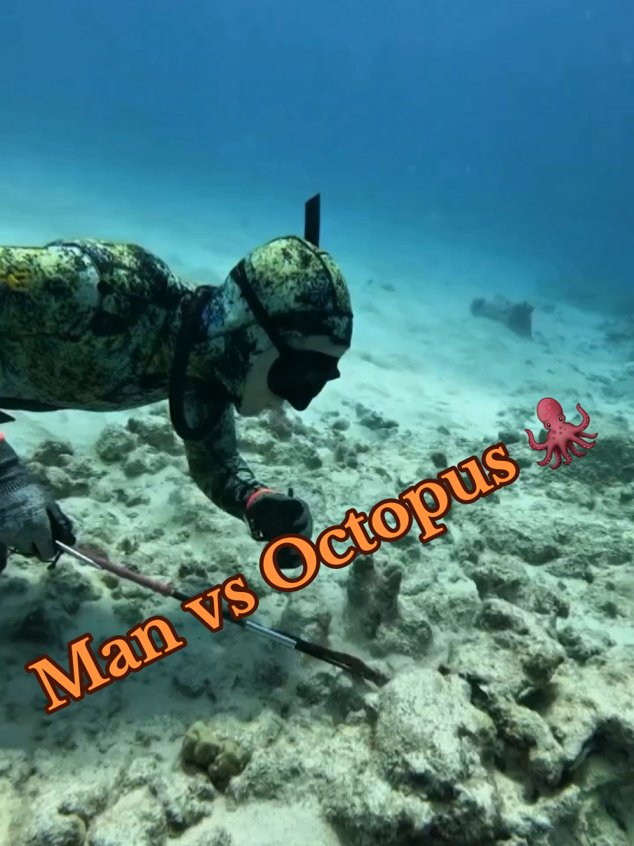 A post by @ on TikTok caption: Man vs Octopus 🐙 #ocean #travelgram #wanderlust #vacation #wildlife #fyp #viral 