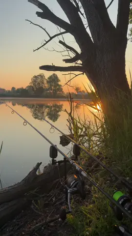 A post by @alex_carpfishing99 on TikTok