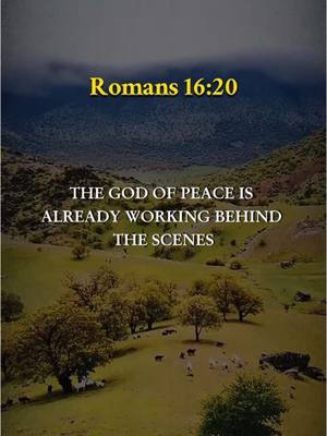 A post by @prayers_daily_ on TikTok caption: The Bible Verse Romans 16:20 #bibleverse #biblestudy #romans1620 #joelosteen 