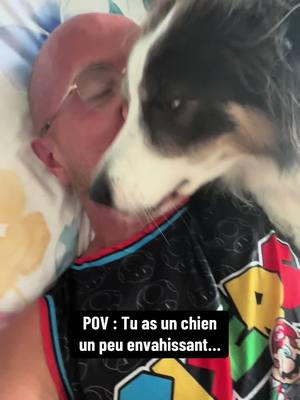 A post by @primusfamily on TikTok caption: Si tu as un animal de compagnie, tu comprendras … 😂
