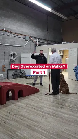 A post by @southwestdogtraining on TikTok caption: One of the biggest culprits for dogs being over-excited on a walk is how you start indoors. Instead of hyping your dog up for a walk, be calm and collected, or even do some obedience training right before. Another thing to do is work on some engagement when you get outside before releasing them to go sniff or start the walk. #OverexcitedDog #DogWalkingTips #CalmBeforeTheWalk #LooseLeashWalking #DogTrainingAdvice #ObedienceBeforeFreedom #WalkYourDogRight #DogBehaviorTips #TrainingBeforeWalking #DogExcitementControl #DogTrainingJourney #BalancedDogTraining #EngagedDogTraining #SouthwestDogTraining (for brand visibility) #DogWalkStruggles
