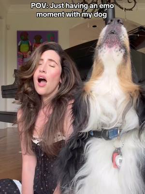 A post by @laurenpaley on TikTok caption: Him patiently waiting to do his backup parts 🤣🥹 #evanescence #bringmetolife #emo #dog @Evanescence 