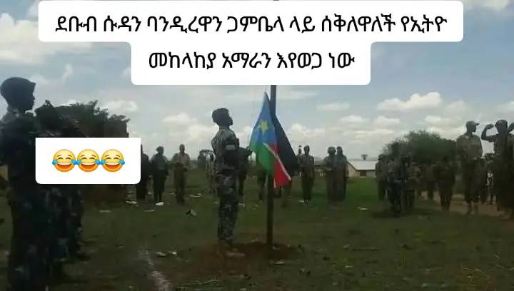 A post by @chombe.factinfo on TikTok caption: ያሳዞናል