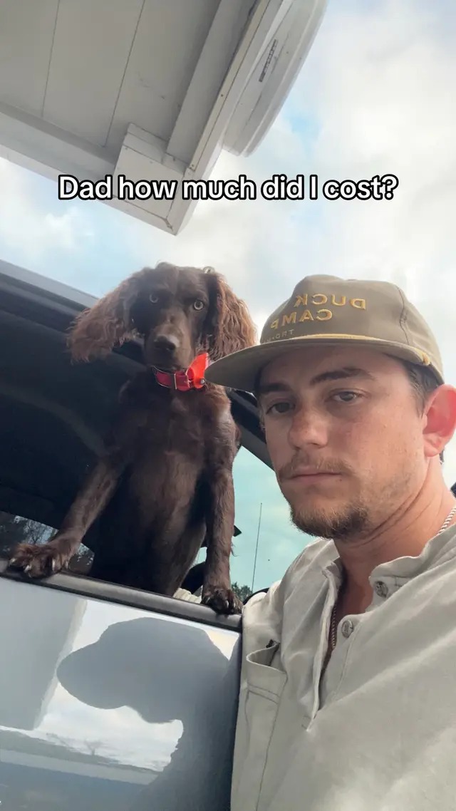 A post by @bolinsky_ on TikTok caption: Nelli has cost more than a dang truck at this point #foryoupage 