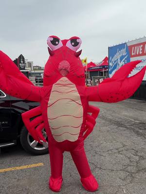 A post by @countryrebel on TikTok caption: 'Tis the season for crawfish! We're celebrating every Saturday at @Scoreboard Bar and Grill with the best boil in town 🔥 📅 Crawfish Boil every Saturday | 12–5PM 🌽 All you can eat, all the fixings, all the flavor 🍺 Drink specials ⛱️ Covered seating, rain-or-shine, no excuses!