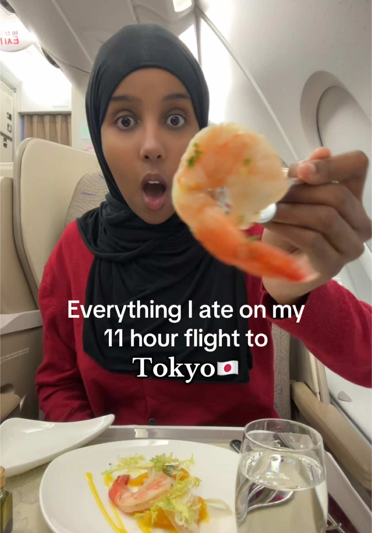 A post by @iconiccpinkk on TikTok caption: What I ate on my 11 hour flight to Japan 🇯🇵 #travel #japan #flight #food 