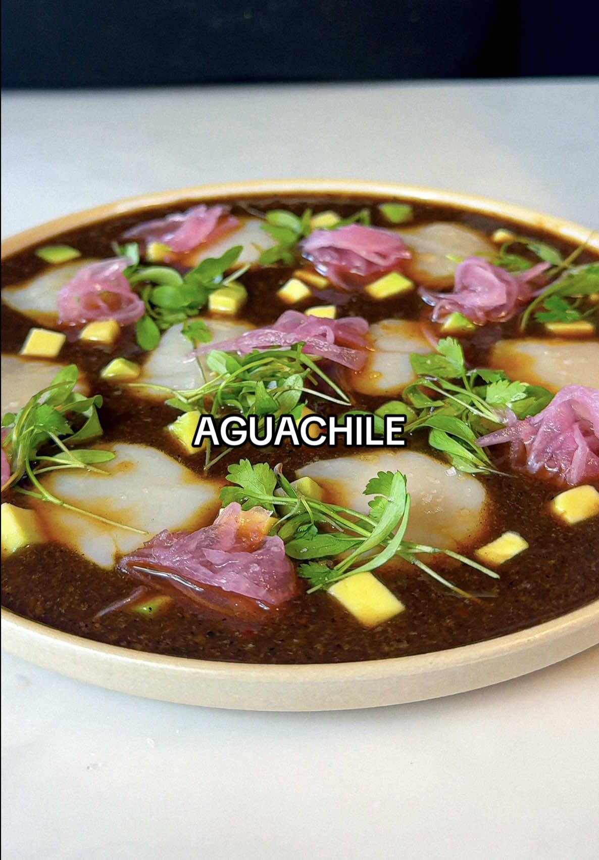 A post by @samseats on TikTok caption: Aguachile 🦐 The perfect dish for hot, summery weather. Full recipe now up on Substack - link in bio! ❤️🔥 #seafood #fish #datenight #comfortfood #easyrecipes #summer #recipe #asmr