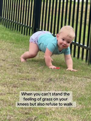 A post by @ttc.with.sarandipiti on TikTok caption: 14 months old and doesn’t want to walk yet 😆  #toddersoftiktok #toddlermom #14monthsold #momlife #crawling 