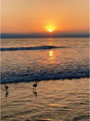 A post by @mermaid_eclipse on TikTok caption: ☀️🌊 Sunset on The California Coast.  I could lay here for hours…  #paradise #fyp #foryou #travel #traveling #photography #mermaid #fypシ #sunset #summer #beach #sea #ocean #MaestriDelPov #traveltiktok #california #californialove #vibe #vibing #relaxation #zen #h2o #h2ojustaddwater 