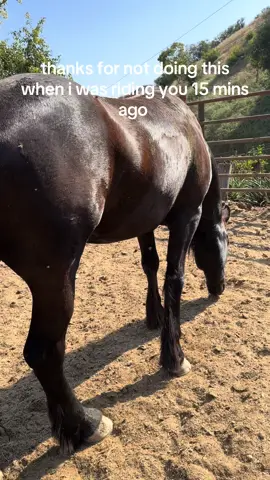A post by @ash.conway on TikTok