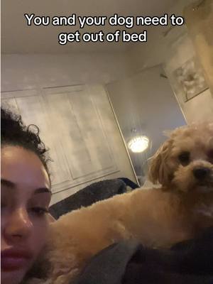 A post by @himynamesteeee on TikTok caption: No…