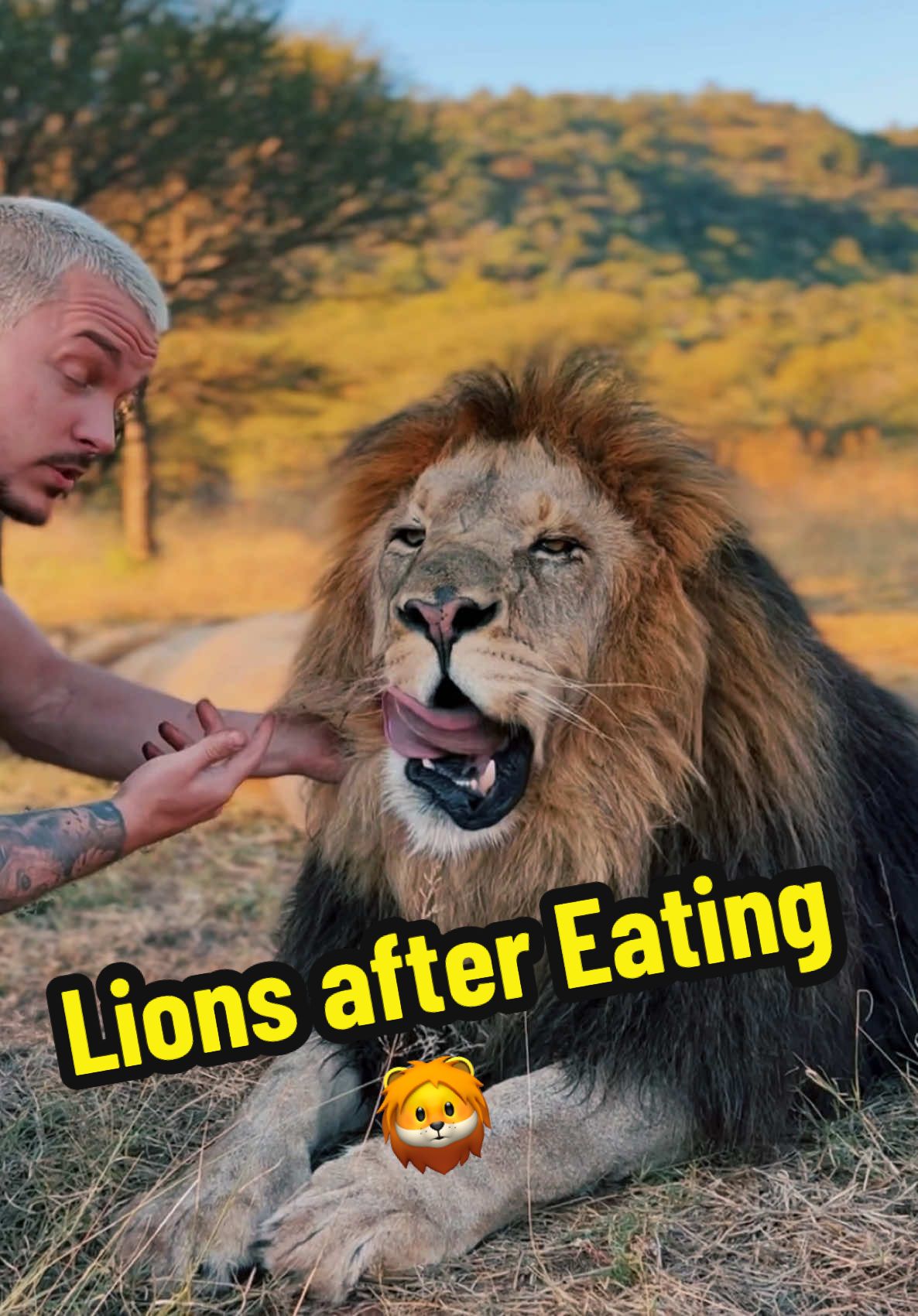 A post by @deanschneider.official on TikTok caption: What are you doing after eating?🤔