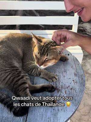 A post by @primusfamily on TikTok caption: Bon on l’adopte ? 😂@Poupiau @Bien-être physique et mental @Qwaadi 