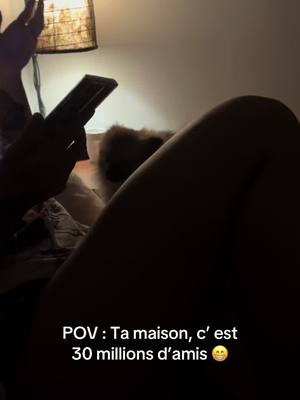 A post by @primusfamily on TikTok caption: On n’a jamais trop d’animaux, non ? ❤️