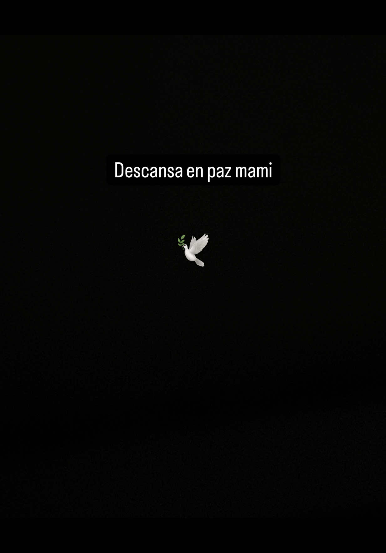 A post by @ladivaza on TikTok caption: Descansa en paz mami 🕊️ 