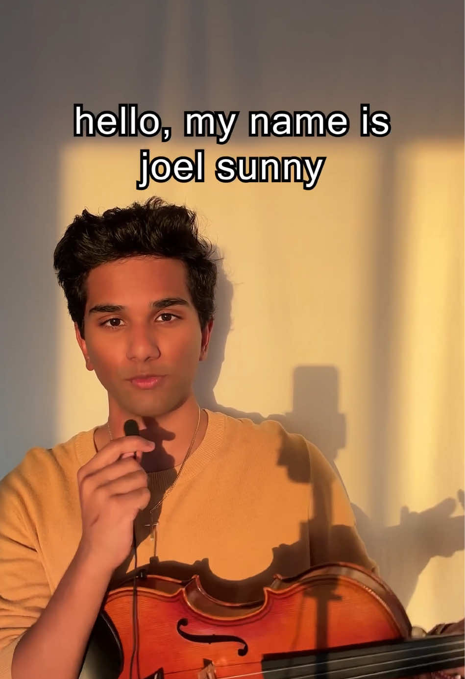 A post by @joelsvnny on TikTok caption: did i mention im going on tour xx. and volume 3 is gothic btw 🕯️ general ticket sale begins 2nd may 10am in your time zone (joelsunny.com) #BookTok #fyp #indianviolin #darkacademia #xyzcba