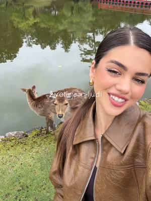 A post by @annalazarevic on TikTok caption: Japann🥹🤎🦌