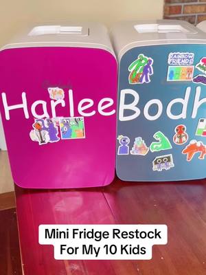 A post by @doughertydozen on TikTok caption: What would you want in your Mini Fridge? #MiniFridgeRestock #MiniFridge #Restock #RestockWithMe #Snack #AfterSchoolSnack 