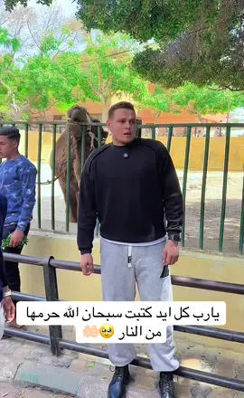 A post by @ahmed_reda_alsmalose on TikTok caption: #احمد_رضا_السمالوسي 