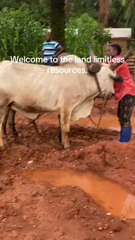 A post by @ on TikTok caption: My country 🇨🇲 will shock you😂😂