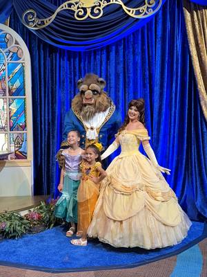 A post by @disney on TikTok caption: When royalty meets royalty. 👑✨ It was an evening full of enchantment at the Once Upon A Wish Party.