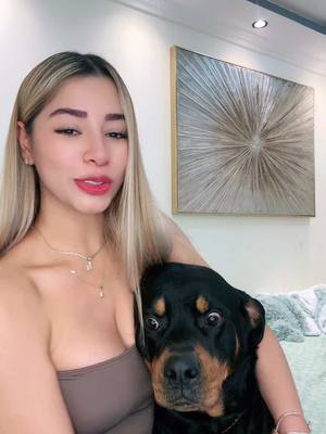 A post by @katherinediaz98__ on TikTok caption: Mi príncipe 🐶 