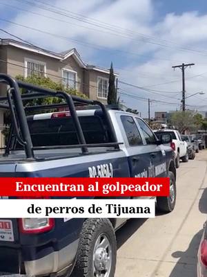A post by @badabun on TikTok caption: Encuentran al golpeador de perros de Tijuana. - @martinmendezreportero
