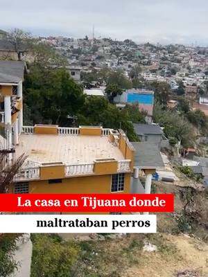 A post by @badabun on TikTok caption: La casa en Tijuana donde maltrataban perros - @martinmendezreportero
