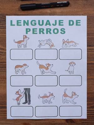 A post by @badabun on TikTok caption: Lenguaje de perros 🐶❤