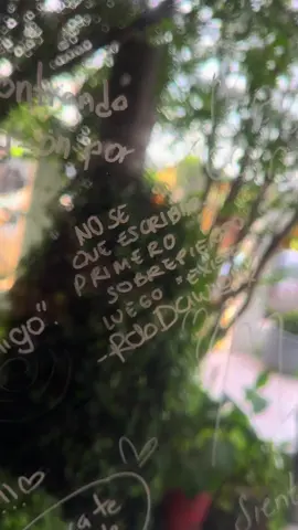 A post by @robdawe on TikTok caption: Cuando el spot está aesthetic 🥰 dharma_coffee_ en ig ☕️