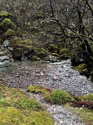 A post by @scotland_uncovered on TikTok caption: Scotland has some of the finest drinking water in the whole world 💧 🏴󠁧󠁢󠁳󠁣󠁴󠁿 #Scotland #water 