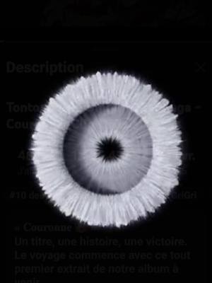 A post by @gnian.gen on TikTok