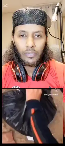 A post by @welfechlegelstein on TikTok