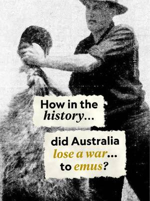 A post by @natgeo on TikTok caption: In 1932, Australia went to war against 20,000 emus. And lost. Learn more about how this surreal military campaign started, and how the emus won just by being emus at the 🔗 in bio.   Host: @halley 