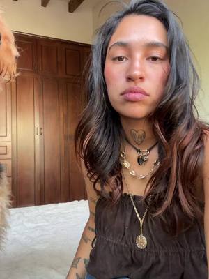 A post by @jimena.jimenezr on TikTok caption: Bowie