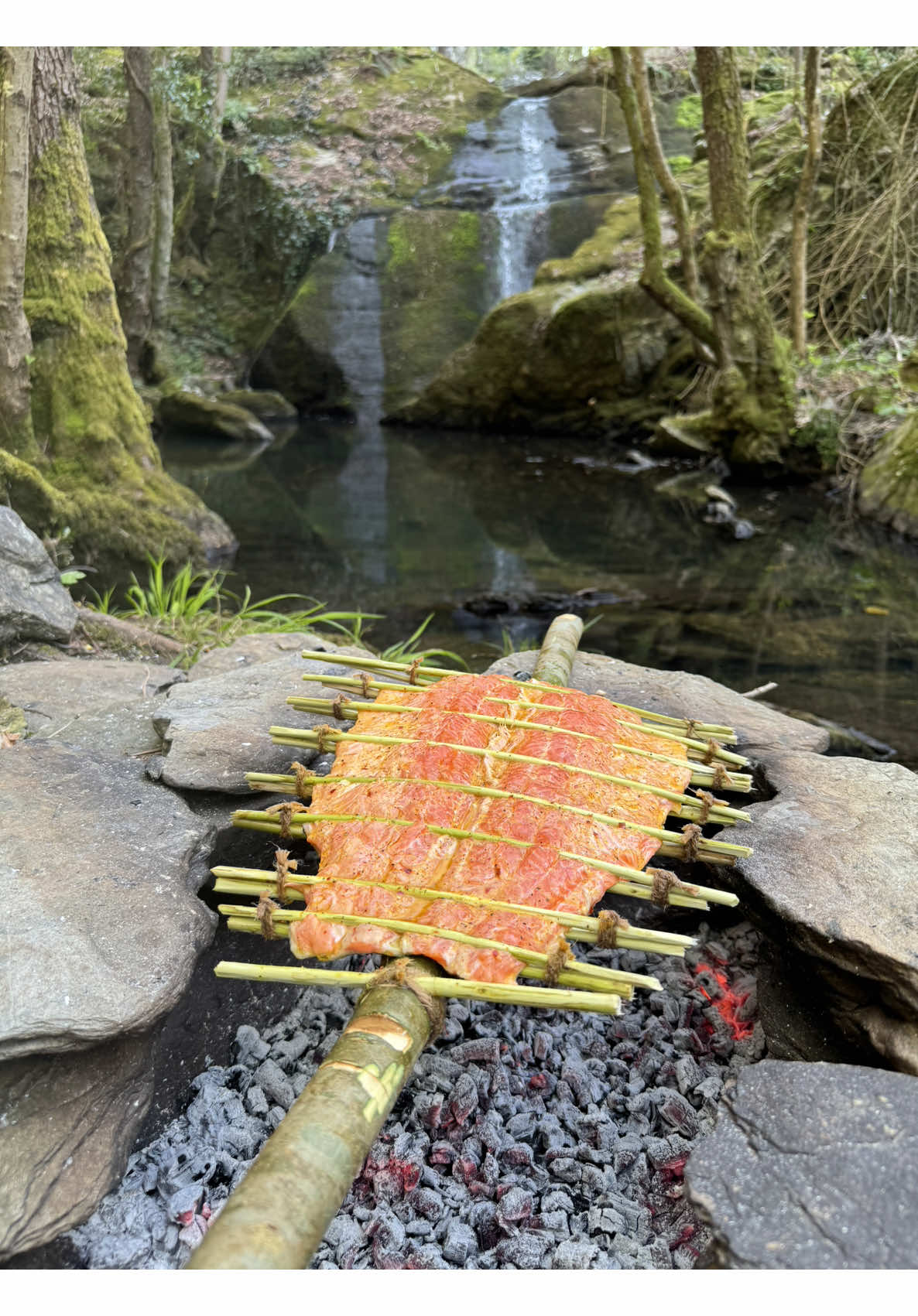 A post by @karadenizli.maceraci on TikTok caption: Ağaç Üzerinde Albalık ile Cevizli İrmik Tatlısı 🐟🍪 Semolina dessert with walnuts  Cooking trout with the primitive method  #outdoorcooking #fish #balık #outdoors #cooking #asmr #asmrvideo #asmrcooking #foodporn #camping #cookingoutdoors #recipe #yemektarifleri 