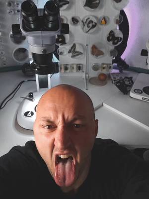 A post by @mir_glazami_microscopa on TikTok caption: I USE 🔬 #LEVENHUK MED 45D & MAGUS STEREO 7B link in my bio #LEVENHUK @Четыре глаза 