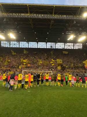 A post by @bvb on TikTok caption: Weiter geht’s! 🤩