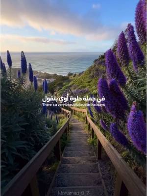 A post by @mohamad_0_7 on TikTok